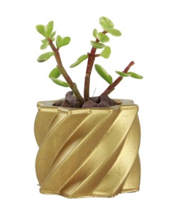 Mini Çiçek Saksı Küçük Sukulent Altın Kaktüs Saksısı Kalın Çizgili Yıldız Model
